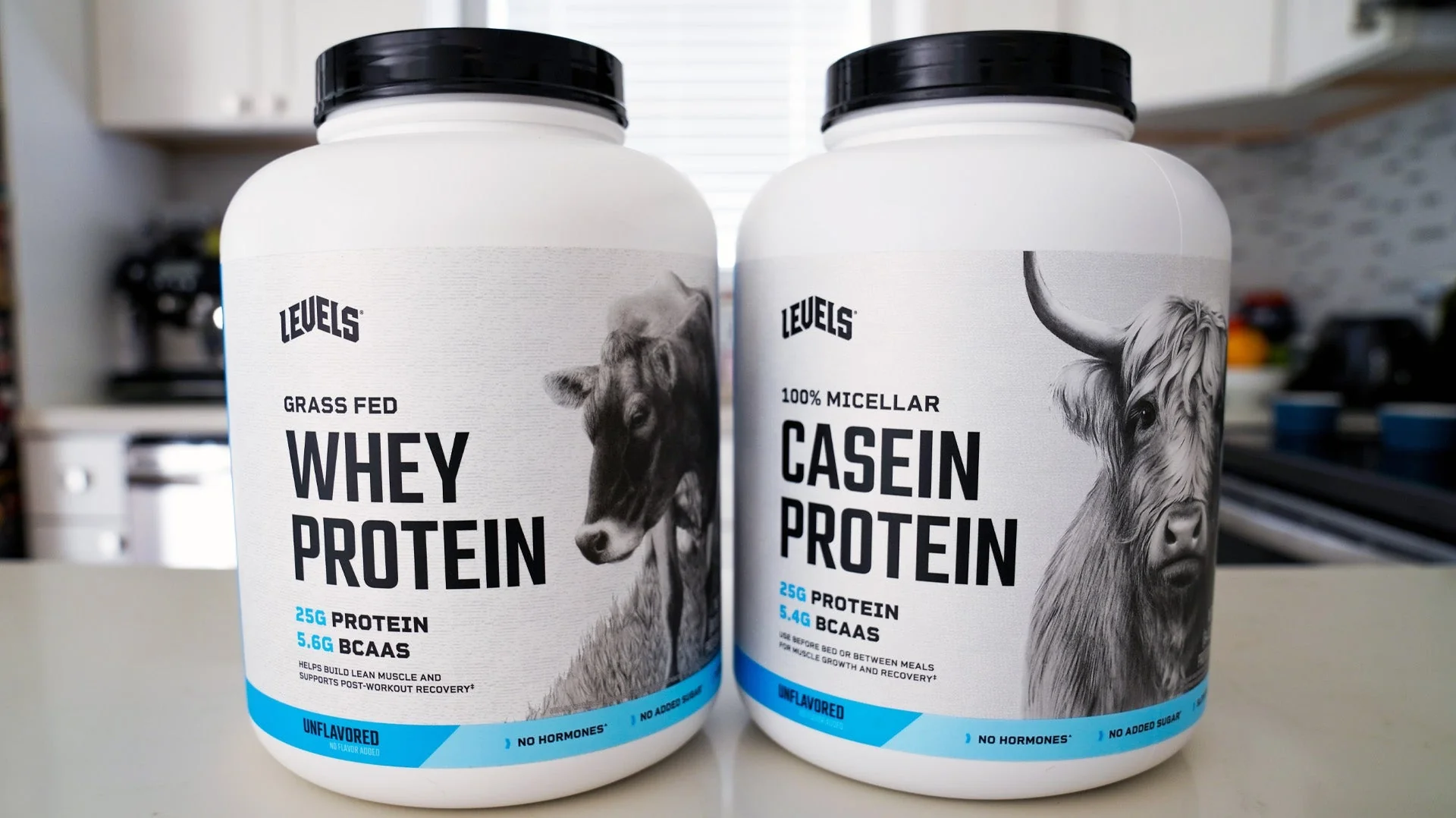 Whey vs. Casein: Which Protein is Right for Your Goals?