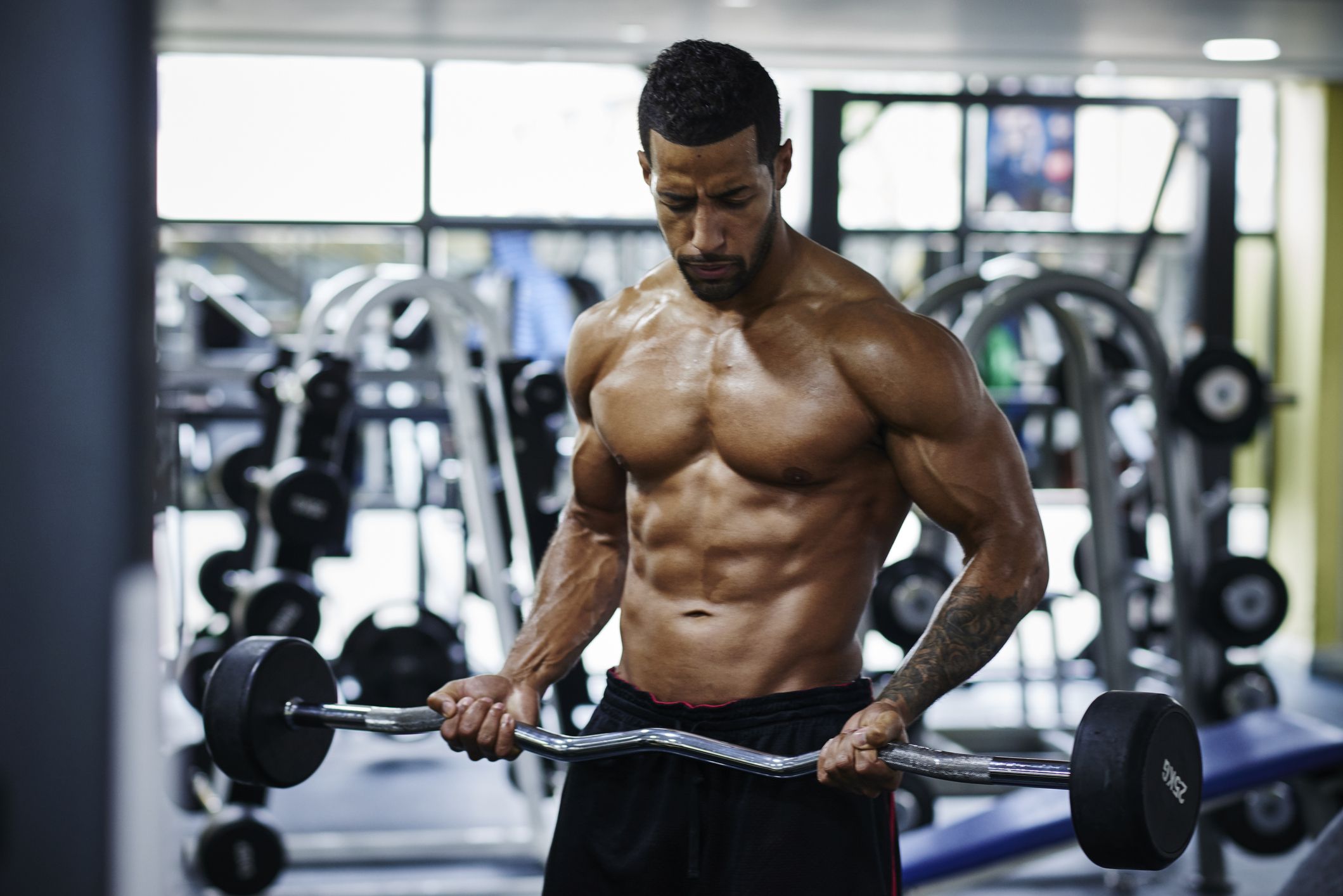 The Fundamentals of Muscle Hypertrophy: How to Build Muscle Effectively